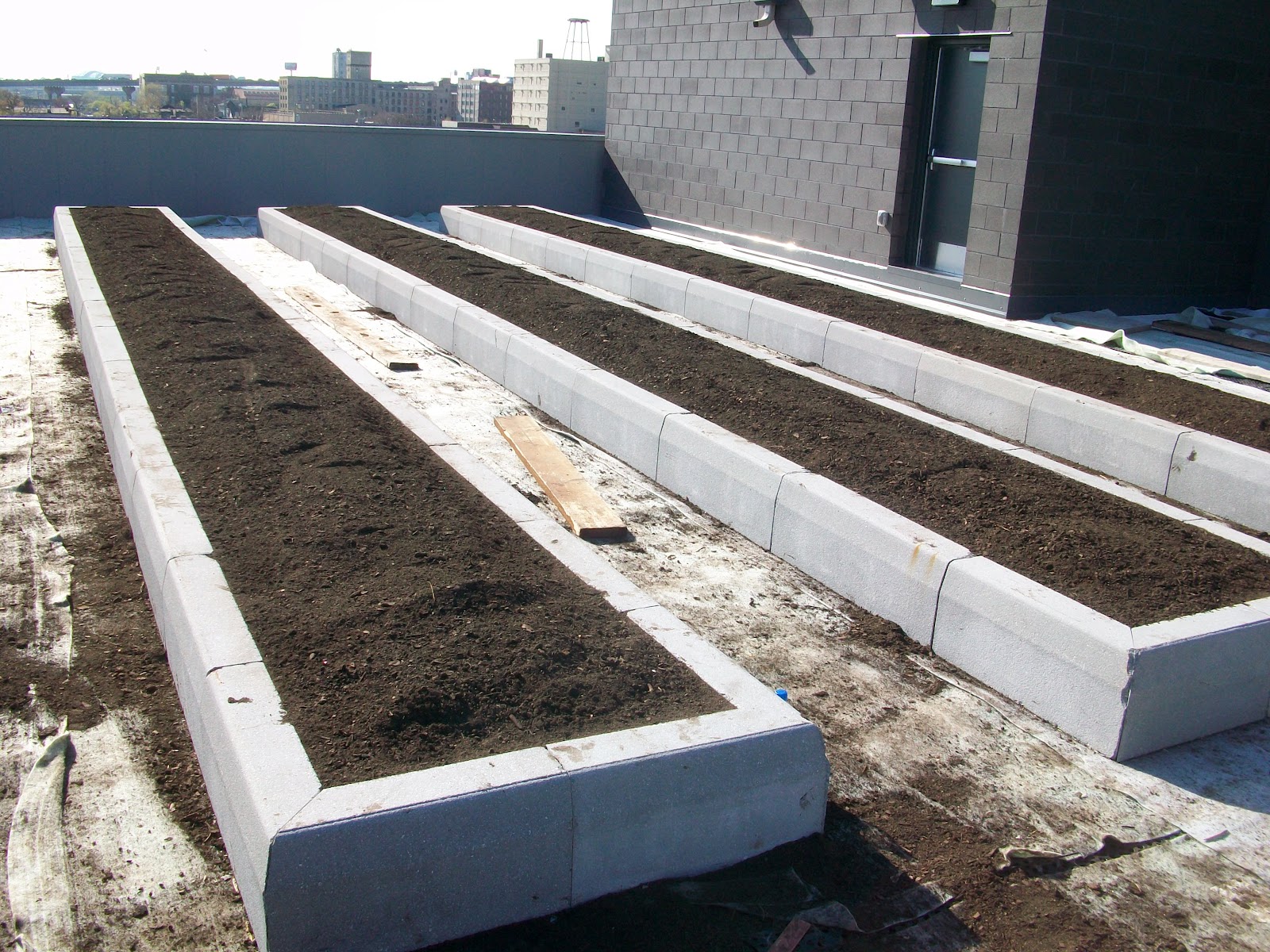 Edible Skyline A Rooftop Revolution in Milwaukee Soil On the Rooftop!